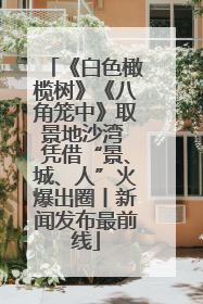 《白色橄榄树》《八角笼中》取景地沙湾 凭借“景、城、人”火爆出圈丨新闻发布最前线
