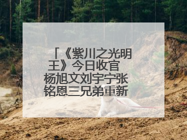《紫川之光明王》今日收官 杨旭文刘宇宁张铭恩三兄弟重新收回远州失地