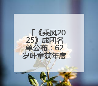 《乘风2025》成团名单公布：62岁叶童获年度总冠军，李晟、陈德容获年度高光人物