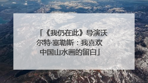 《我仍在此》导演沃尔特·塞勒斯：我喜欢中国山水画的留白