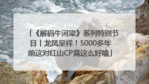 《解码牛河梁》系列特别节目丨龙凤呈祥！5000多年前这对红山CP竟这么好嗑