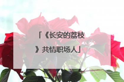 《长安的荔枝》共情职场人