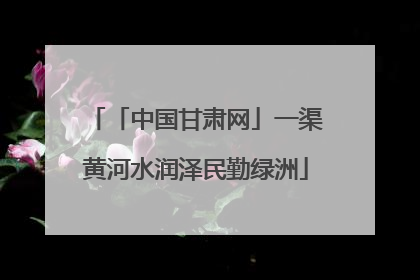 「中国甘肃网」一渠黄河水润泽民勤绿洲