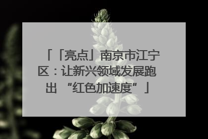 「亮点」南京市江宁区：让新兴领域发展跑出 “红色加速度”