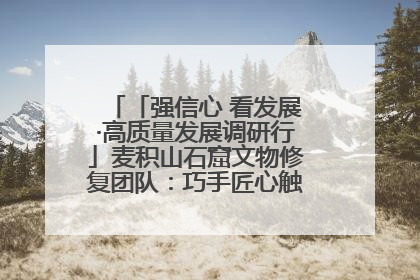 「强信心 看发展·高质量发展调研行」麦积山石窟文物修复团队：巧手匠心触摸“光阴的故事”