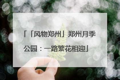 「风物郑州」郑州月季公园：一路繁花相迎