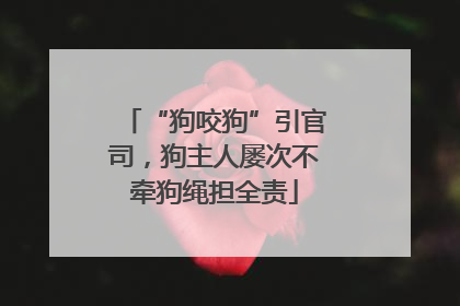 “狗咬狗”引官司，狗主人屡次不牵狗绳担全责