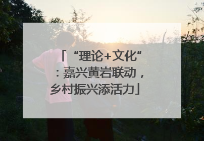 “理论+文化”：嘉兴黄岩联动，乡村振兴添活力