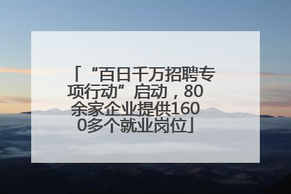 “百日千万招聘专项行动”启动，80余家企业提供1600多个就业岗位
