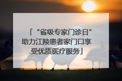 “省级专家门诊日”助力江陵患者家门口享受优质医疗服务