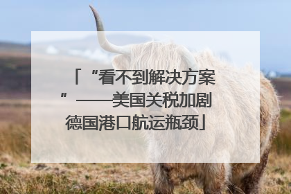 “看不到解决方案”——美国关税加剧德国港口航运瓶颈