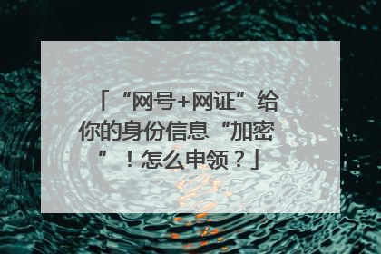 “网号+网证”给你的身份信息“加密”！怎么申领？