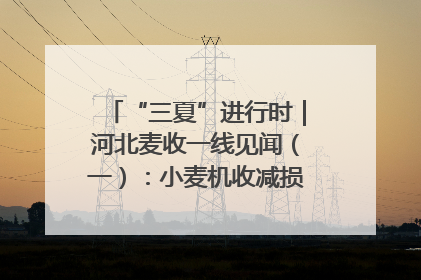 “三夏”进行时｜河北麦收一线见闻（一）：小麦机收减损“竞技” 农机高手麦田“过招”