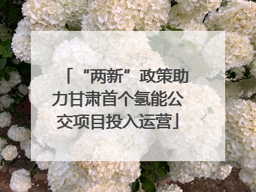 “两新”政策助力甘肃首个氢能公交项目投入运营