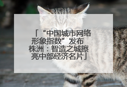 “中国城市网络形象指数”发布 株洲：智造之城擦亮中部经济名片