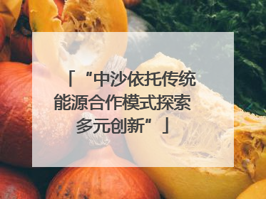 “中沙依托传统能源合作模式探索多元创新”
