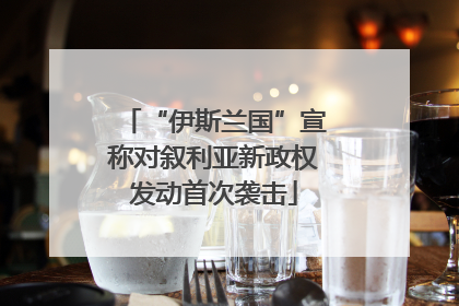 “伊斯兰国”宣称对叙利亚新政权发动首次袭击