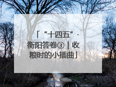“十四五”·衡阳答卷③｜收粮时的小插曲