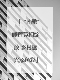 “南繁”睡莲竞相绽放 乡村振兴添色彩