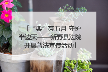 “典”亮五月 守护半边天——新野县法院开展普法宣传活动
