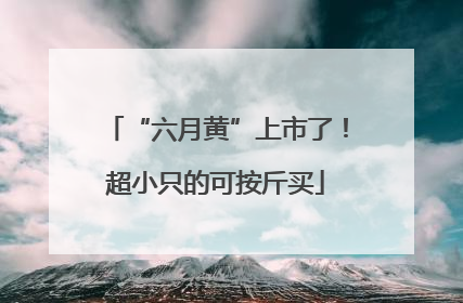 “六月黄”上市了！超小只的可按斤买