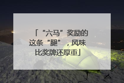 “六马”奖励的这条“腿”，风味比奖牌还厚重