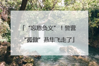“忘恩负义”！警营“孤傲”燕隼飞走了