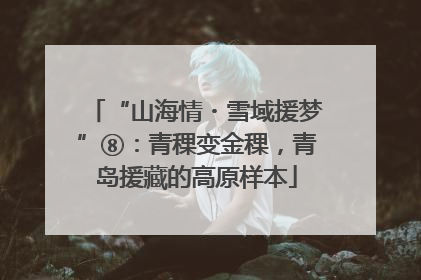 “山海情・雪域援梦”⑧：青稞变金稞，青岛援藏的高原样本