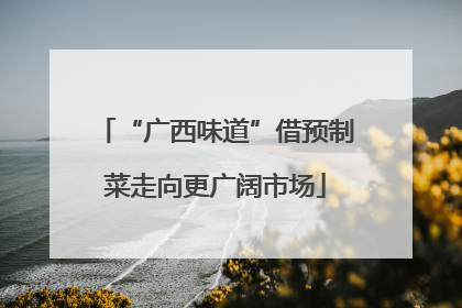 “广西味道”借预制菜走向更广阔市场