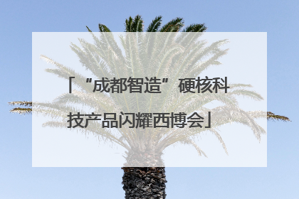 “成都智造”硬核科技产品闪耀西博会