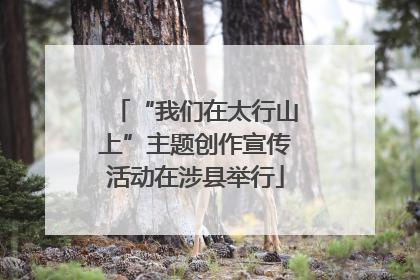 “我们在太行山上”主题创作宣传活动在涉县举行