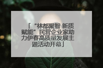 “林都聚智 新质赋能”民营企业家助力伊春高质量发展主题活动开幕
