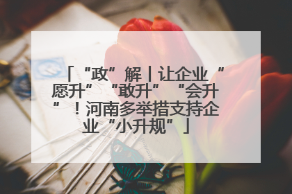 “政”解丨让企业“愿升”“敢升”“会升”！河南多举措支持企业“小升规”