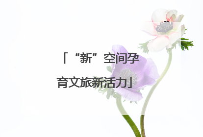 “新”空间孕育文旅新活力