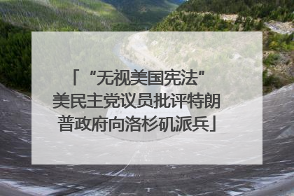 “无视美国宪法” 美民主党议员批评特朗普政府向洛杉矶派兵