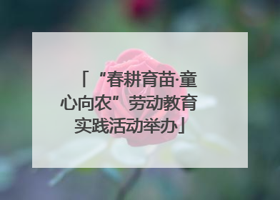 “春耕育苗·童心向农”劳动教育实践活动举办