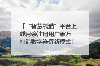 “智慧熊猫”平台上线月余注册用户破万 打造数字连侨新模式