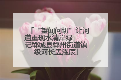 “望闻问切”让河道重现水清岸绿——记郓城县郓州街道镇级河长孟泓辰