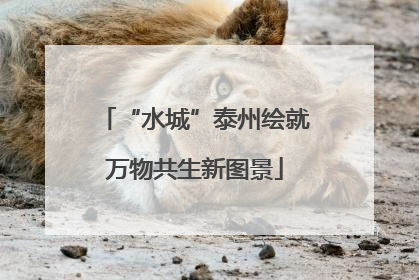 “水城”泰州绘就万物共生新图景