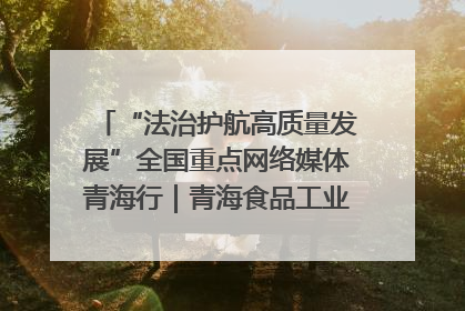 “法治护航高质量发展”全国重点网络媒体青海行｜青海食品工业协会：架起“青字号”美食的产业化桥梁