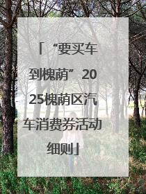 “要买车 到槐荫”2025槐荫区汽车消费券活动细则