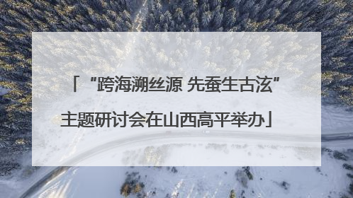 “跨海溯丝源 先蚕生古泫”主题研讨会在山西高平举办