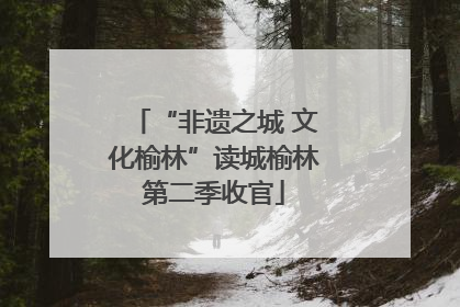 “非遗之城 文化榆林”读城榆林第二季收官