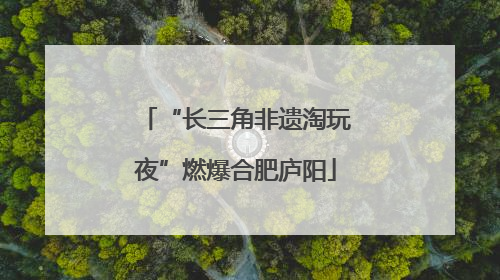 “长三角非遗淘玩夜”燃爆合肥庐阳