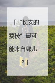 “长安的荔枝”最可能来自哪儿？