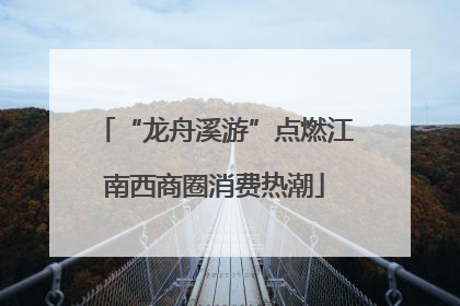 “龙舟溪游”点燃江南西商圈消费热潮