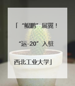 “鲲鹏”展翼！“运-20”入驻西北工业大学