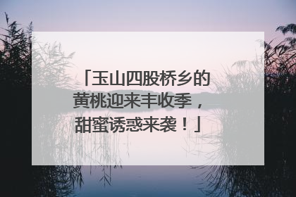 玉山四股桥乡的黄桃迎来丰收季，甜蜜诱惑来袭！