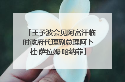 王予波会见阿富汗临时政府代理副总理阿卜杜·萨拉姆·哈纳菲