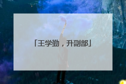 王学勤，升副部